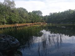 -云岗森林公园