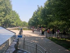 -玲珑塔公园