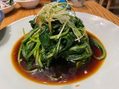 白芍板蓝根-滇铺子·云南特色菜·第九届野生菌美食节(东风东路c86店)