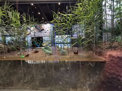 -浙江自然博物院(杭州馆)