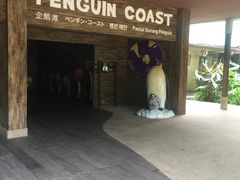 -新加坡飞禽公园