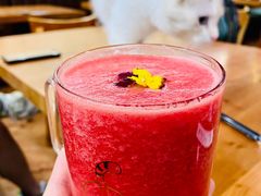 -猫小院猫主题餐厅(三里屯店)