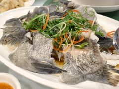 老鼠斑-光兴海鲜排档·小炒(莱利园店)