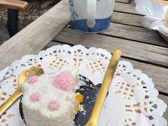 -喵屿·大理花园猫咖