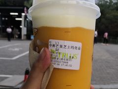 -TPLUS茶家(浦电路店)