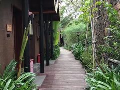 -三亚亚龙湾人间天堂鸟巢度假村
