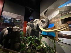 -长江文明馆