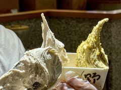 -野人先生Gelato(上海长宁龙之梦店)