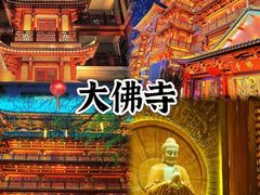 -广州长隆国际大马戏