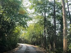 -紫金山山顶公园