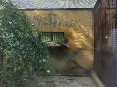-青藏高原野生动物园