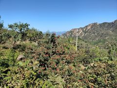 -天津盘山风景名胜区