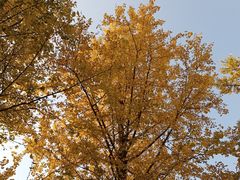 -重庆中央公园(渝北区)