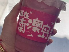 -南澳岛打卡果汁冰公司