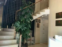 -紫琪尔国际丰胸美胸机构