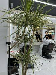 -尤司男士国潮理发馆