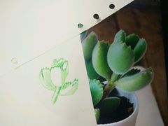 -八哥美术·成人美术画室(总校区)
