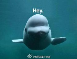 -苑苑发型设计