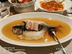 -金美华轩(东方路齐鲁店)