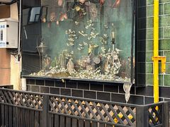 -春风·有糖(崇宁路店)