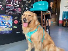 -My Way Town买味堂·东南亚餐厅(亦庄店)