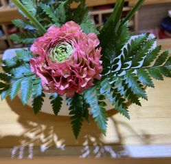 -今日陶艺(富力广场店)