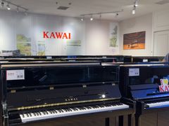 -柏斯音乐艺术中心·钢琴·吉他(世纪金源店)