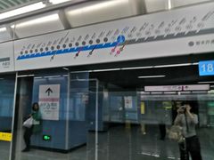 -大龙山(地铁站)