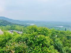 -牛首山文化旅游区