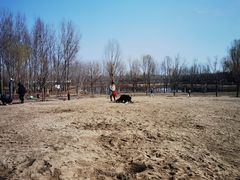 -东郊湿地公园