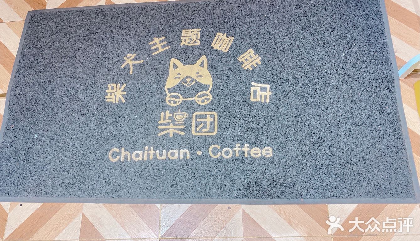 无法抵挡小柴的无敌魅力！