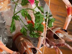 新西兰鳌虾-Osteria Garden 生蚝花园餐厅(原进贤路店)