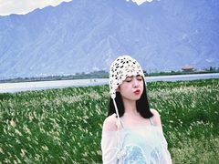 -哈素海