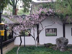 -墨池公园