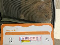 -瑞鹏瑞爱宠物医院·全科·猫科·血液透析中心(龙头寺店)