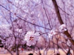 -中关村生命科学园