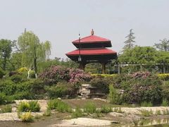 -济南植物园