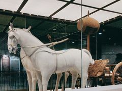 -淮安市博物馆