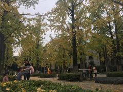 -百林公园-两江幸福广场