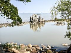 -上海吴淞炮台湾国家湿地公园