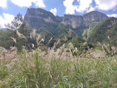 -鹿院坪生态旅游景区