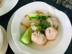 竹笙盲公丸-悦湖公馆