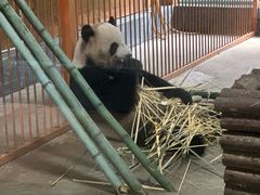 -云南野生动物园