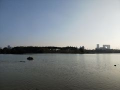 -海珠湖公园