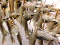 -V-ONE西雅图海鲜自助餐厅(仓山万达广场店)