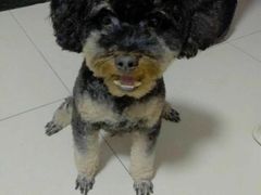 -美联众合爱康动物医院•复杂内科•肿瘤科•牙科•腔镜诊疗中心