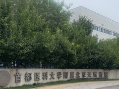 -首都医科大学附属北京天坛医院