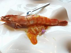 -云厨·高空西餐厅(成都瑯珀·凯悦臻选酒店)