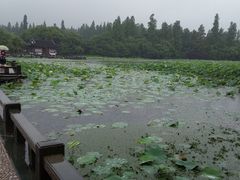 -西湖外事游船(花港观鱼码头)
