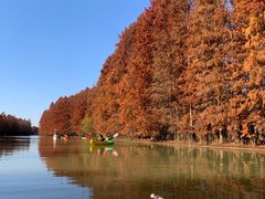 -上海海湾国家森林公园